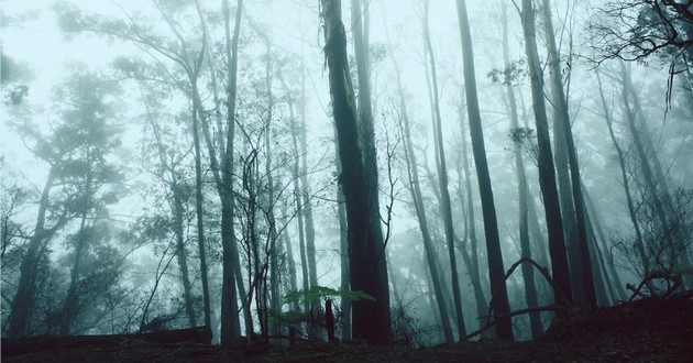 龙岩最厉害的易学大师排行榜,2003属什么生肖,2003年属相是什么生肖