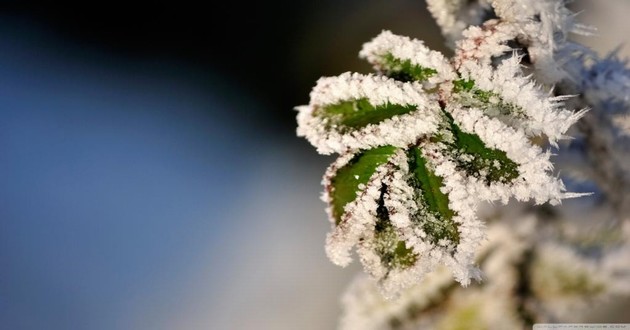 亚洲真正的算命高人排名,神巴巴免费姓名测试打分,免费情侣姓名测试