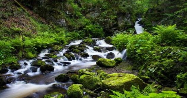 深圳风水大师
