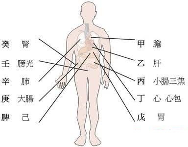 八字与身体健康的关系