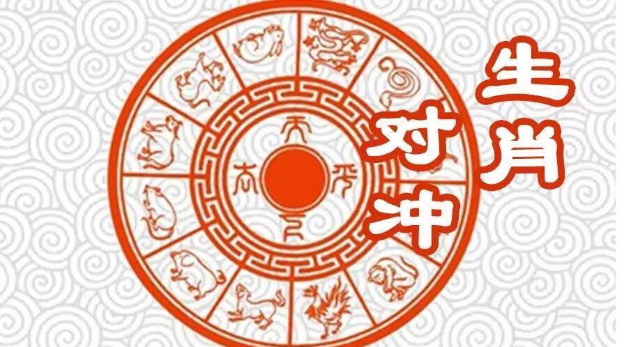 生肖对冲如何解