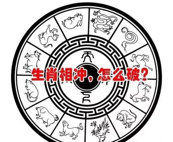 生肖对冲如何解