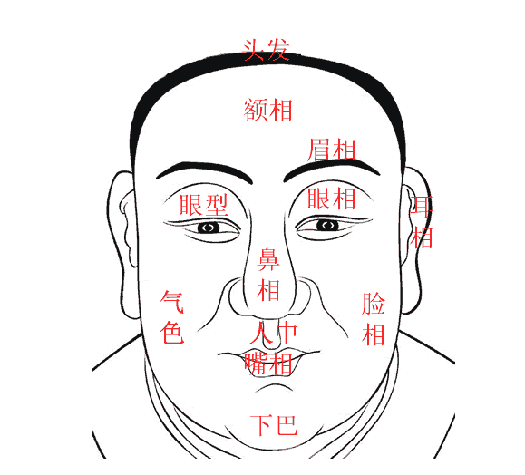 男人没有子嗣的面相特征