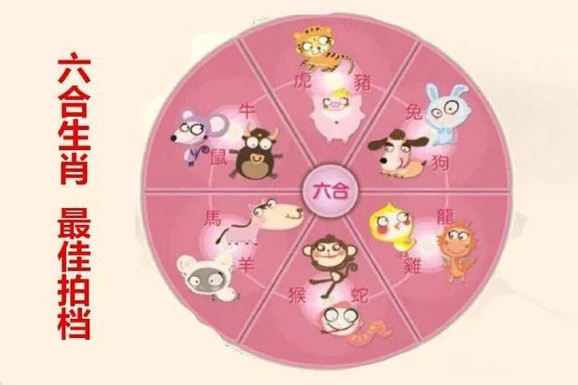 北京周易算命大师谈生肖六合