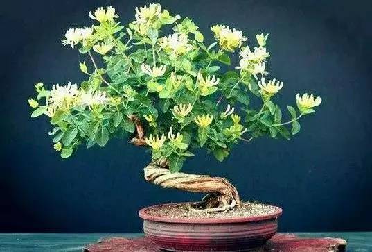 倒霉的化解方法，倒霉怎么破解最好