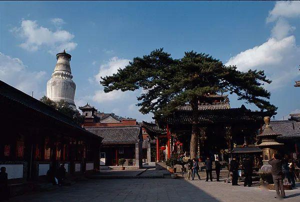 wuye5cd015734be.jpg