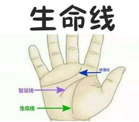 手纹杂乱的人是什么命？怎么化解手纹杂乱？