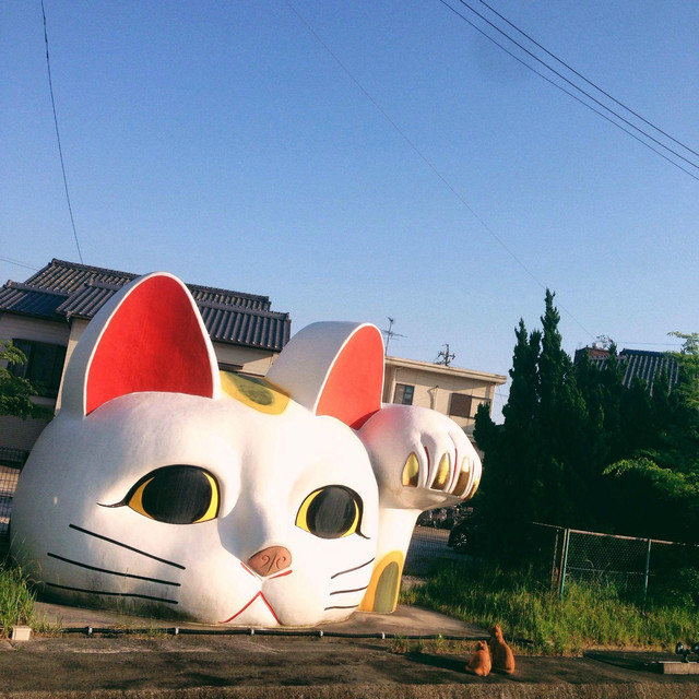 不同形状的招财猫都有什么寓意？招财猫什么人不能摆