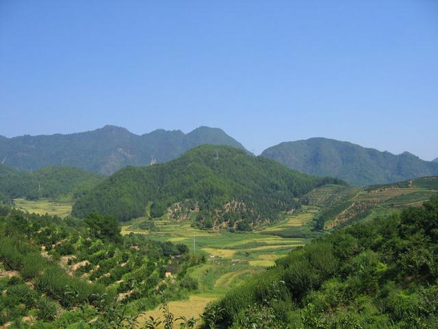 中国风水大师秦阳明就来科普祖坟墓地的风水知识