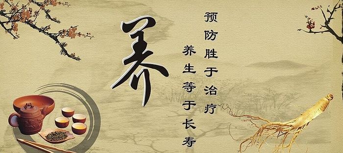 中国风水大师秦阳明谈周易学对中医学术的思维与影响