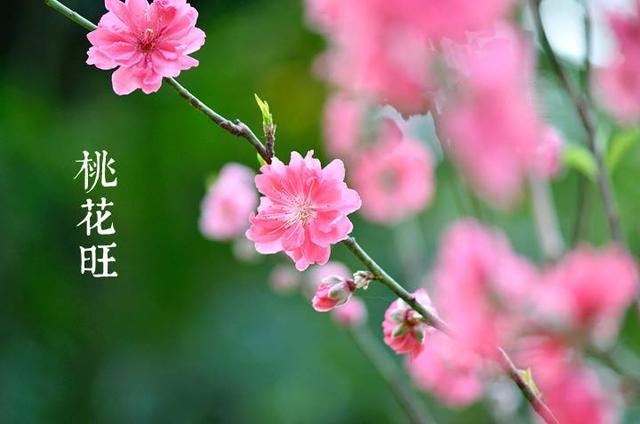 北京风水大师秦阳明谈爱情风水：改掉吓走桃花运的坏习惯