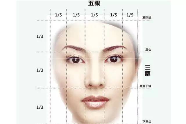 三庭五眼是什么意思