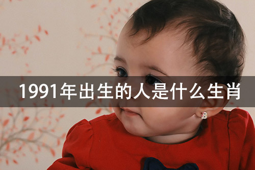 1672027635158384.jpg pexels-photo-725877.jpg