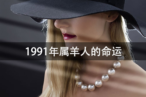 1672028301115584.jpg pexels-photo-247115.jpg