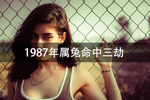 1672031389123141.jpg pexels-photo-1144173.jpg