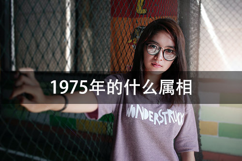 1672036227399585.jpg pexels-photo-582039.jpg