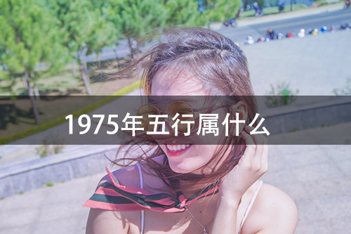 1672036318149246.jpg pexels-photo-954897.jpg