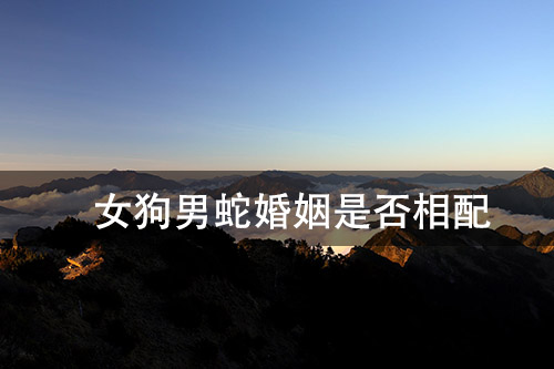 1672112382197675.jpg pexels-photo-12279810.jpg