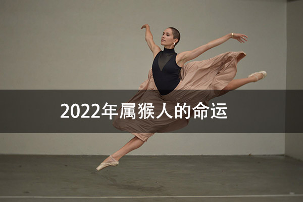 1672123274756427.jpg pexels-photo-4226393.jpg