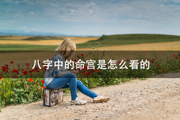 1672197618206391.jpg suitcase-person-happy-calm-160939.jpg