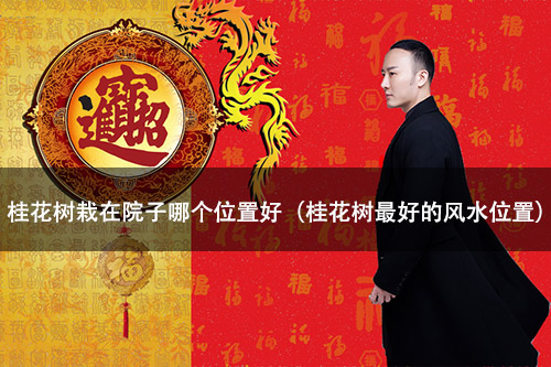 1672199752181432.jpg 081044335040.jpg