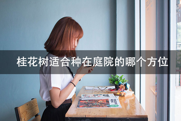 1672199900637136.jpg pexels-photo-236907.jpg