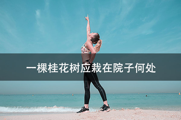 1672199977141093.jpg pexels-photo-1117493.jpg