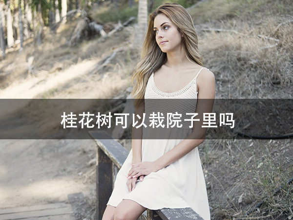 1672200160510995.jpg pexels-photo-206517.jpg