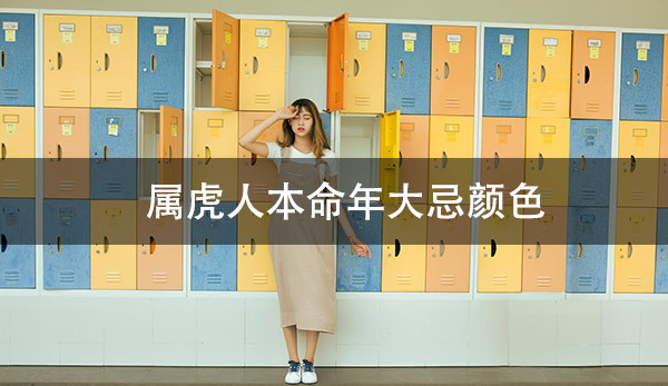 1672207491138534.jpg pexels-photo-355000.jpg