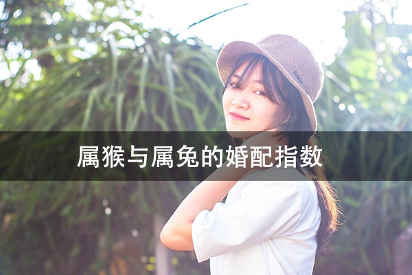 1672280891422981.jpg pexels-photo-270308.jpg