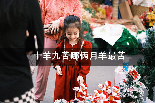 1672288084210696.jpg pexels-photo-14815468.jpg