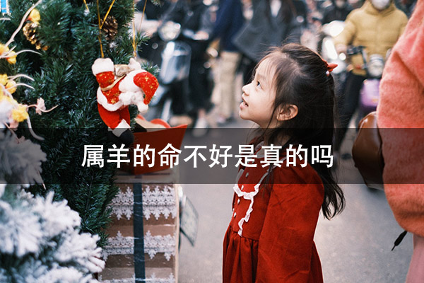 1672288139139316.jpg pexels-photo-14815467.jpg