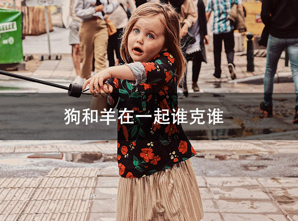 1672288260487195.jpg pexels-photo-13629848.jpg