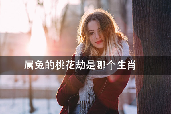 1672292089458566.jpg pexels-photo-305555.jpg