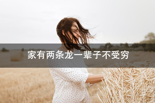 1672296741133410.jpg pexels-photo-2691961.jpg