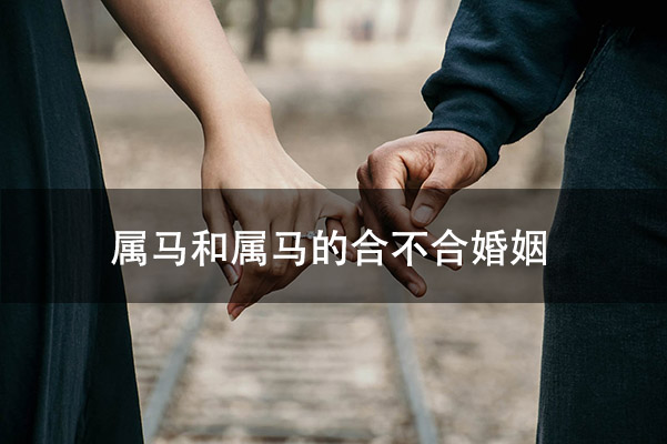 1672627117171110.jpg pexels-photo-888899.jpg