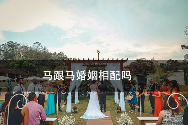 1672627288850614.jpg pexels-photo-1779414.jpg