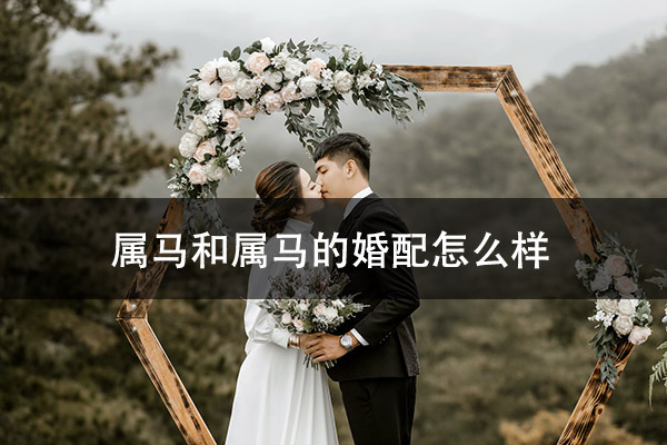 1672627358949054.jpg pexels-photo-2959196.jpg