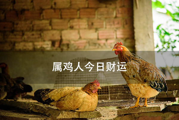 1672800630173129.jpg pexels-photo-13654839.jpg