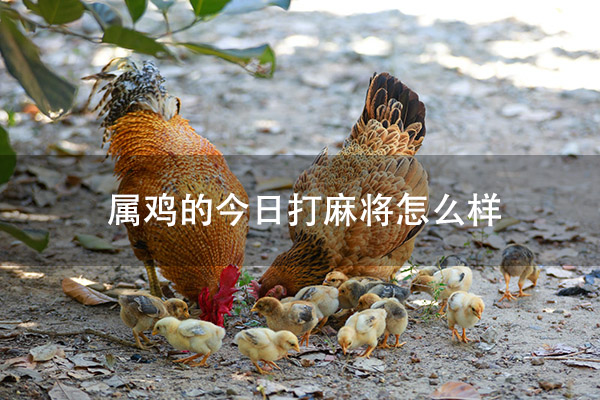 1672800694527926.jpg pexels-photo-2134180.jpg