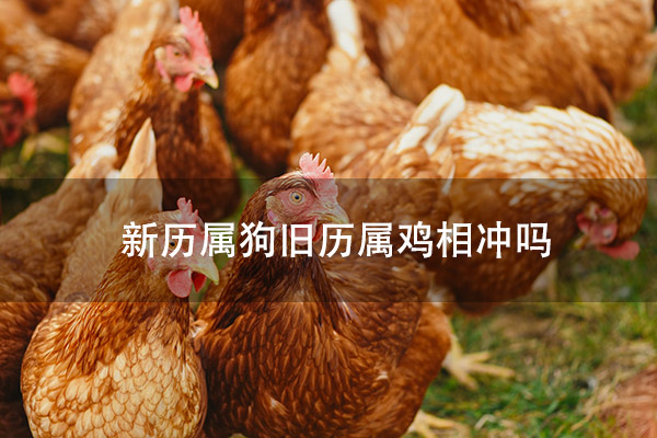 1672800761310930.jpg pexels-photo-2255459.jpg