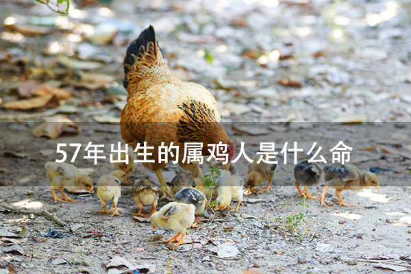 1672800853494802.jpg pexels-photo-2134246.jpg