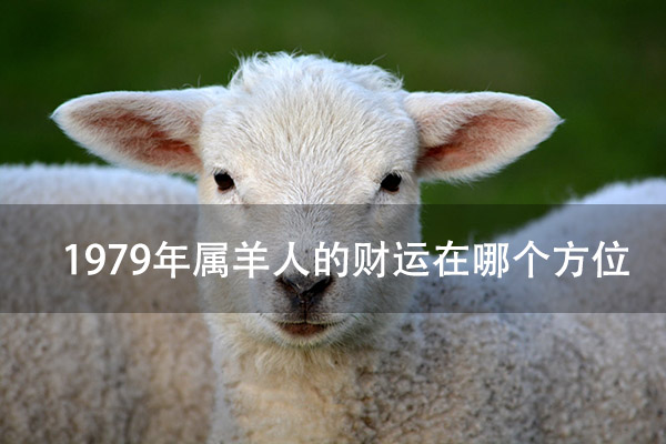 lamb-spring-nature-animal-59821.jpg