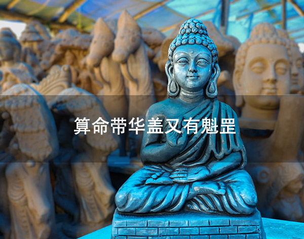 1673148774128235.jpg pexels-photo-10616315.jpg