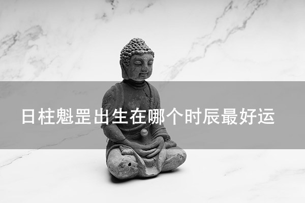 1673148856459302.jpg pexels-photo-13533949.jpg