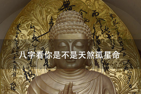 1673152036435320.jpg pexels-photo-4768820.jpg