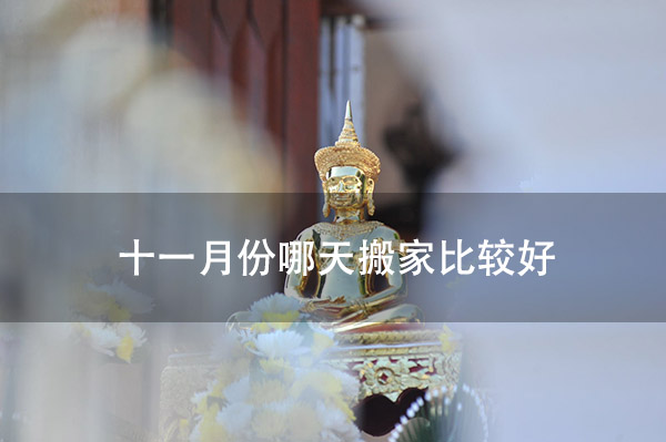 1673237353200847.jpg pexels-photo-10133355.jpg