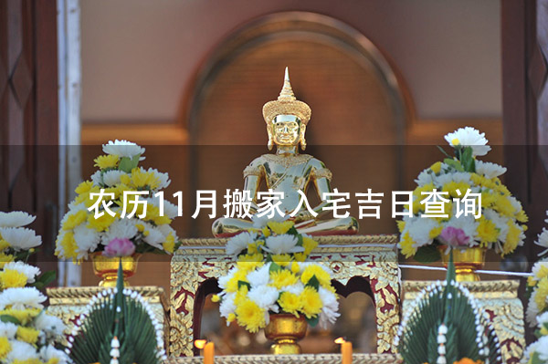 1673237410677100.jpg pexels-photo-10133354.jpg