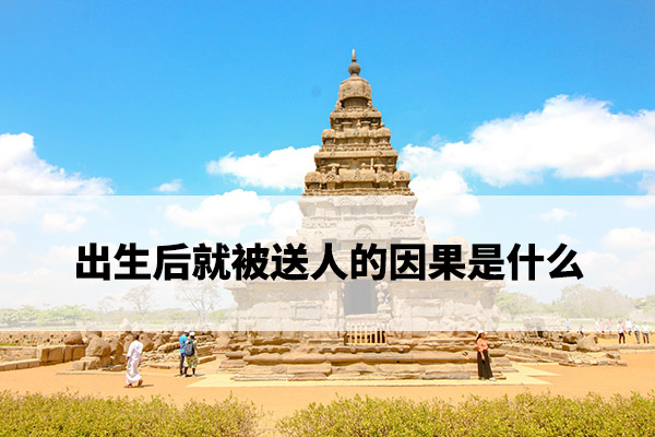 1673317002156425.jpg pexels-photo-7365978.jpg