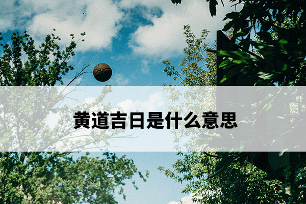 1673318628563159.jpg pexels-photo-5274810.jpg